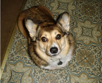 Abby says, 'Snacks is good.'